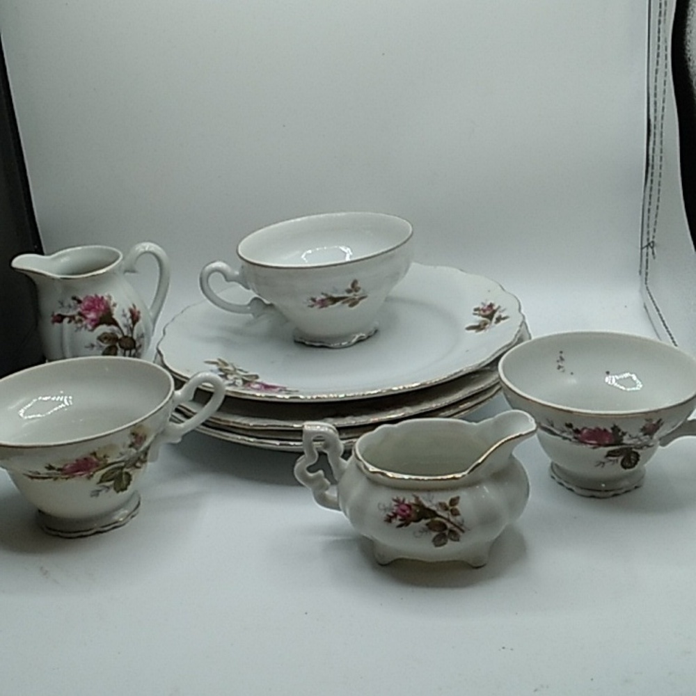 Vintage Royal Rose fine China